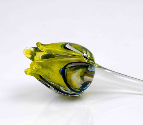 Loranto + Tulp, multicolor-geel